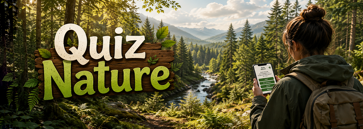 Quiz ZEC