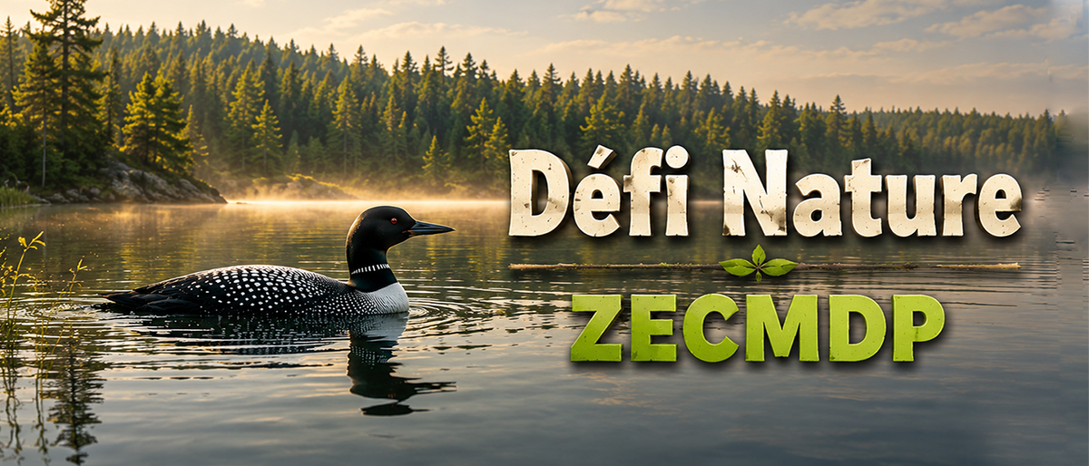 Défis Nature